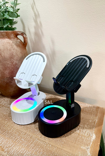 Phone speaker (early December)