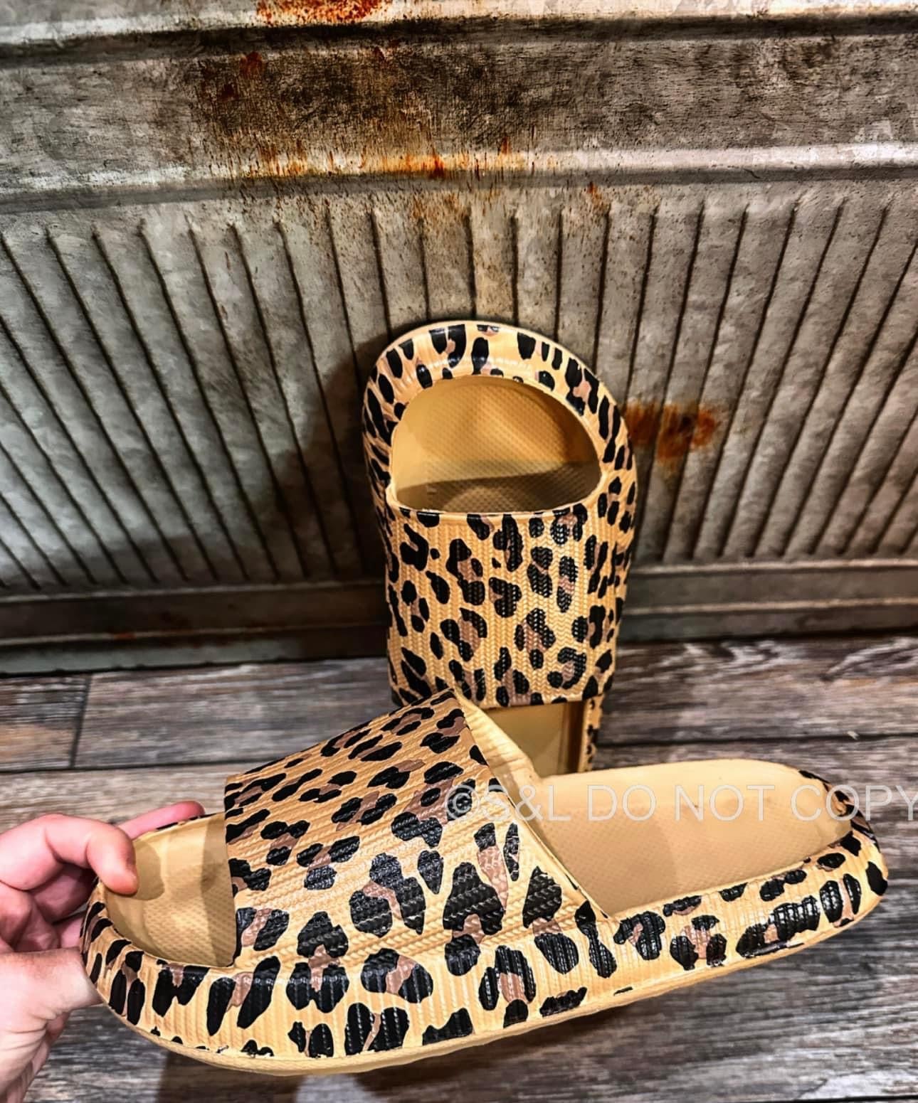 Brown cheetah slides